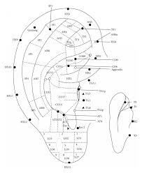Standard Project Of Auricular Acupuncture Points By The
