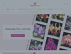 vanda vendors orchidwire listings