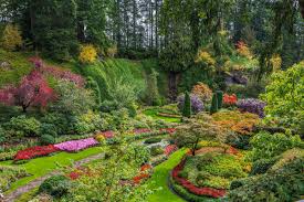 visiting the butchart gardens