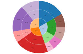 Multi Level Pie Chart Using D3 Experience Imaginea