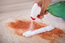 carpet stain removal service get rid