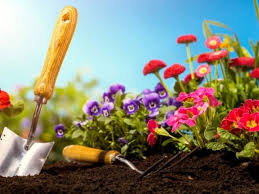 How To Start A Flower Garden Thriving