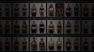 female body fat percene comparison