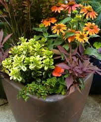 Design Tips For Container Gardens