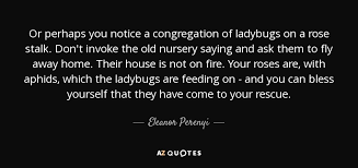 Eleanor Perenyi Quote Or Perhaps You Notice A Congregation