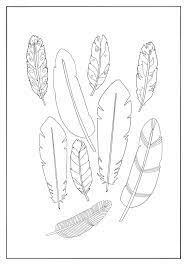 Make a coloring book with design feather for one click. Coloring Techniques For Feathers And Plumage The Coloring Book Club