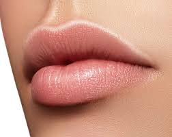 lip blush mili s beauty studio