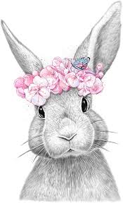 Tracez une forme ovale avec une ligne au milieu. Spring Bunny Art Print By Nikkor X Small Illustration De Lapin Dessin Animaux Mignons Dessin Lapin