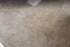carpet 911 boise carpet cleaning