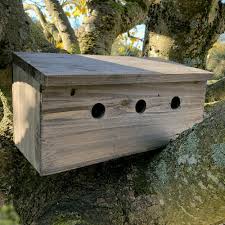 Sparrow Nest Box Terrace 46cm