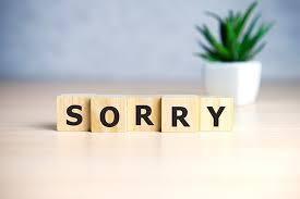 how to say sorry the reason why it is