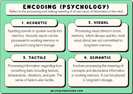 11 encoding exles psychology 2024