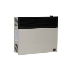 Direct Vent Propane Wall Heater
