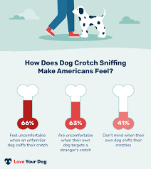 why do dogs sniff people s crotches 5