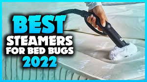 top 5 best steamers for bed bugs you