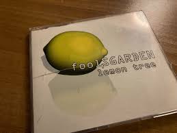 fools garden lemon tree cd 3 track b w