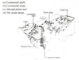relief features of the oceans