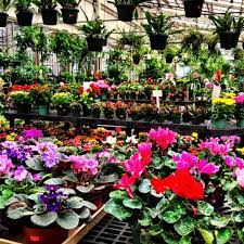gale s garden center willoughby hills oh