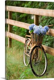 Maybe you would like to learn more about one of these? Bike With Basket Of Flowers Wall Art Canvas Prints Framed Prints Wall Peels Great Big Canvas