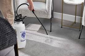 carpet stain removal chem dry of wake