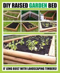 Building A Raised Garden Bed Comfort