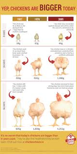 Faster Growing Chicken Vs Slower Growing Chicken