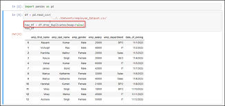 drop duplicate rows in pandas dataframe