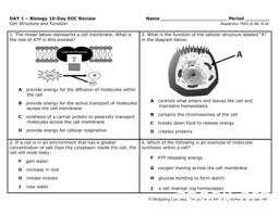 Negative feedback a process in biology that is regulated such that it slows down when it has happened too much. Staar Biology Eoc Free Download Pdf