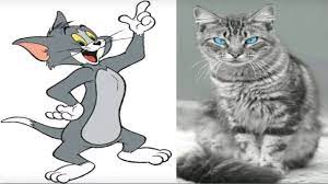 Tom and Jerry In Real Life 2018 | Tom and jerry, Real life, Jerry