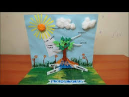 Photosynthesis Model In Plants Science Project 3d Model For Students The4pillars