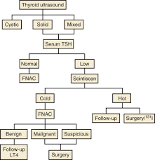 Thyroid Hormone Blood Level An Overview Sciencedirect Topics