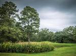 Clear Creek Golf Club | Mississippi Golf Courses | Mississippi ...