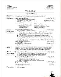 Friggeri Resume CV Domainlives