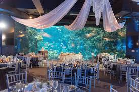 ta wedding the florida aquarium