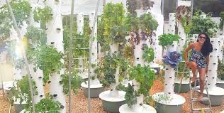 What Grows Well In A Tower Garden