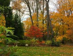 Why Fall Is The Best Time For Planting