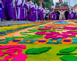 Image of Lent alfombras in Guatemala