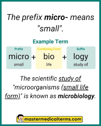 micro master cal terms