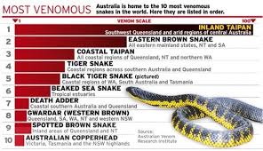 Venom Chart Animals In Australia