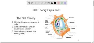 three tenets of the cell theory