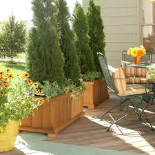 potted plants patio