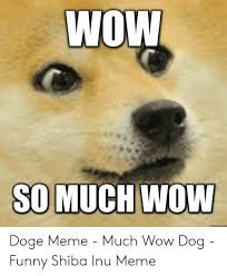If you browse sites like reddit and 9gag, you've most certainly run into the doge meme and its iconic shiba inu they'll also tip you if you create interesting or funny original content. Wow So Doge Meme Much Wow Dog Funny Shiba Inu Meme Doge Meme On Me Me