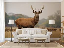 Deer Wall Mural Deers Wall Covering