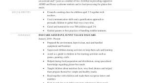 Assistant Director Child Care Resume Sample Best Resumes For