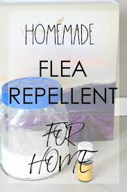 natural flea repellent for home easy