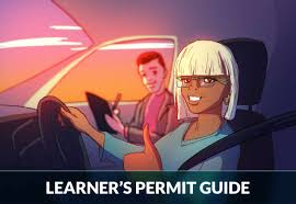 How provisional licence insurance works: Learner S Permit Ultimate Guide 2021 Zutobi Drivers Ed