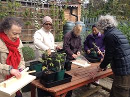 Breakspears Mews Community Garden