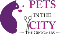 Aussie pet mobile is a quality pet grooming service that offers an exceptional full service grooming experience for your pets in a stress free environment in full comfort and safety right in your driveway. Pet Grooming Shop Dubai Professional Mobile Grooming Service Pets In The City