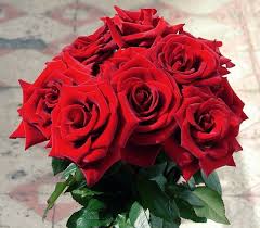 Selain cantik dan mempesona, bunga. Foto Bunga Mawar Merah Asli