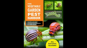 vegetable garden pest handbook sneak